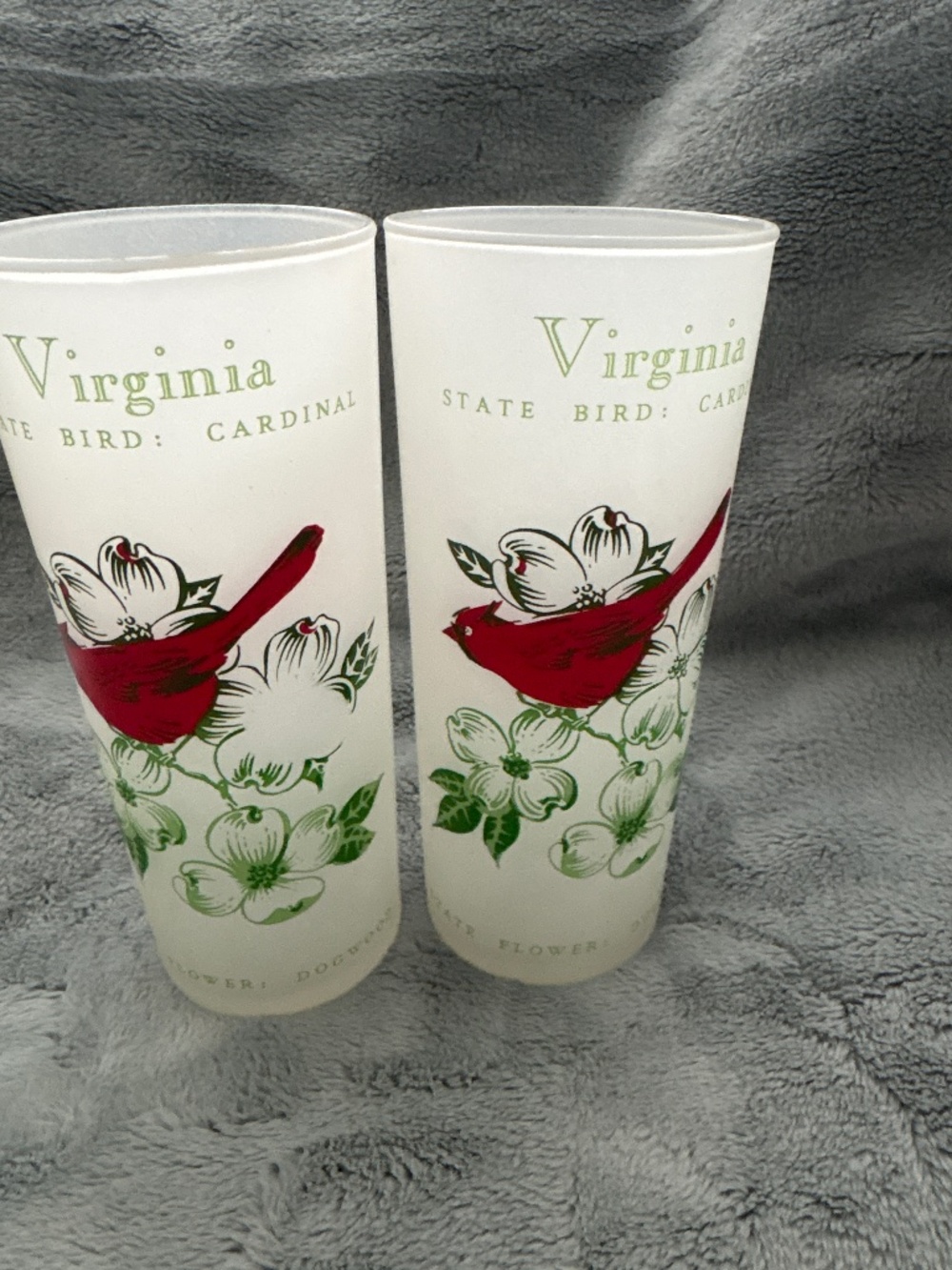 Mid-Century Frosted Tom Collins Glasses in Virginia Red Cardinal & Dogwood Motif